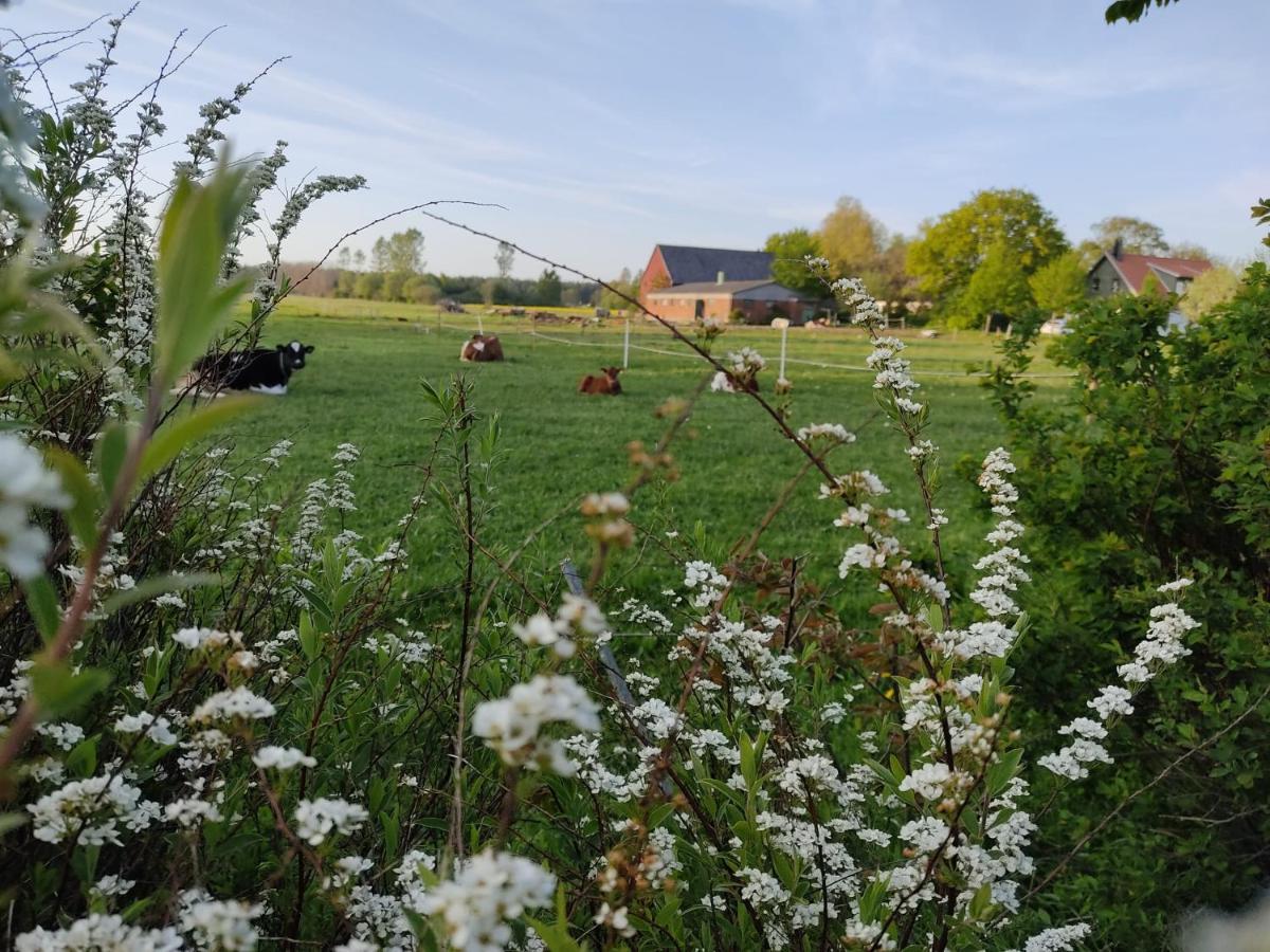 Cosyplace; Close To Beach, Nature, Train, Grocery Kopingebro Екстер'єр фото